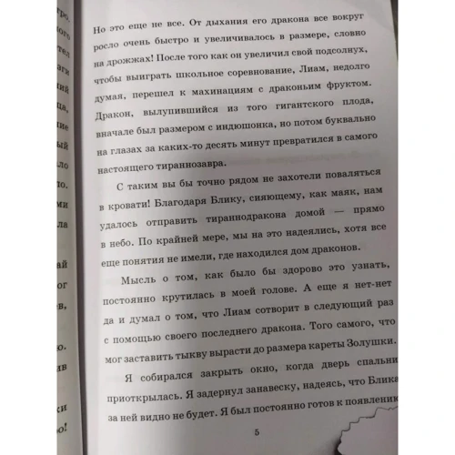 Энди Шеферд: Мальчик, который летал с драконами: Обложка Твердая