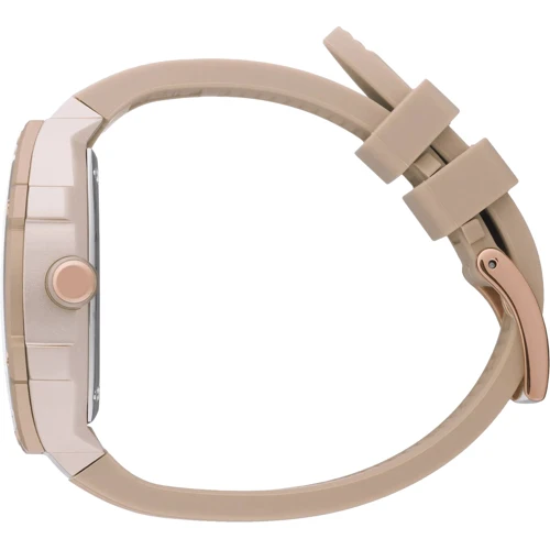 Наручные часы Ice-Watch ICE boliday Timeless Taupe 022861: Тип Женские