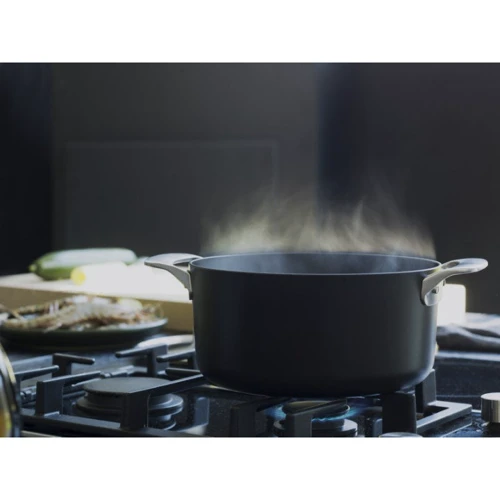 Каструля Fiskars Rotisser 3.5 л (1023755): Тип Традиционная