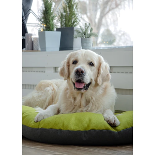 Лежак-подушка Lucky Pet №2 Морфей для собак салатовый 50х70 см (215334): Размеры 50х70 см