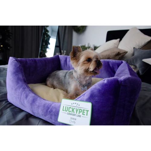Лежак Luсky Pet Рольф №3 для собак фиолетово-кремовый 60х80х24 см (218441): Тип Лежак