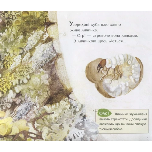 Валя Вздульська: Велике Перевтілення: Виробник Крокус