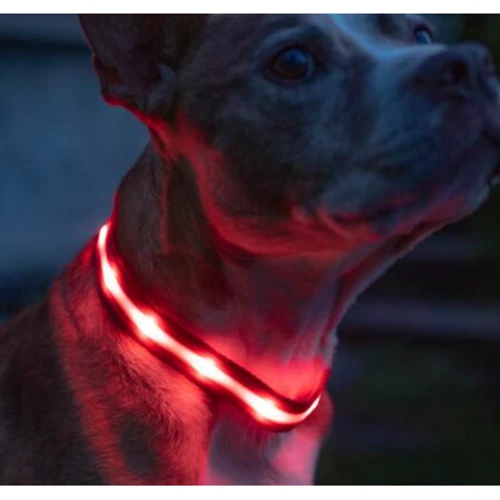 Ошейник с подсветкой UFT PET LED 1 Red для собак на батарейках М (UFTPL1Mred): Цвет красный