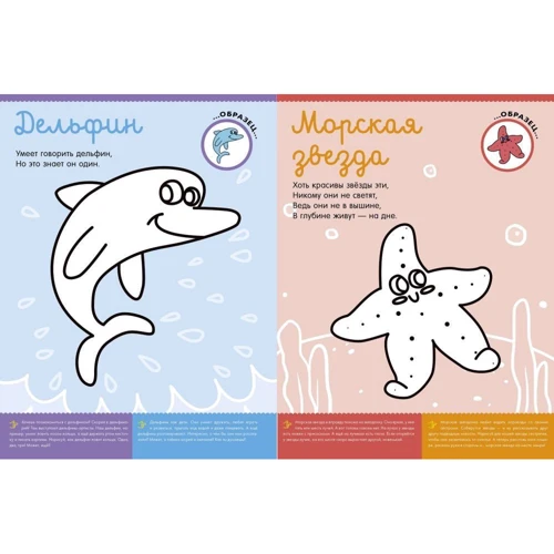 Кто живёт в море?: Количество страниц 16