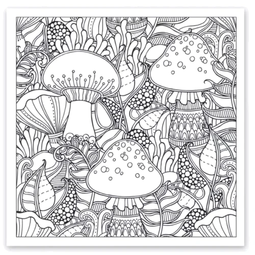 Розмальовка-антистрес Santi Дивовижний ліс 20 аркушів 40 картинок (742912)