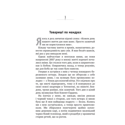 Джеймс Бовен: Вуличний кіт на имя Боб: Кількість сторінок 208