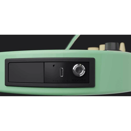 Электрогитара MOOER GTRS Standard 800 (Surf Green): Тип крепления грифа Болтовой