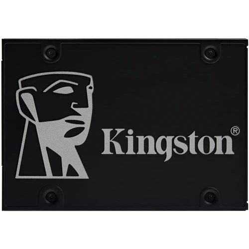Kingston 256GB (OCP0S3256B-A0)