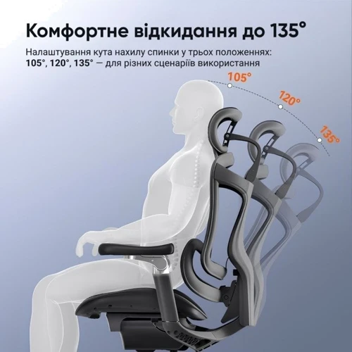 Офисное кресло Sihoo DORO C300 Pro Mesh Black (DORO-C300-PRO-M101)