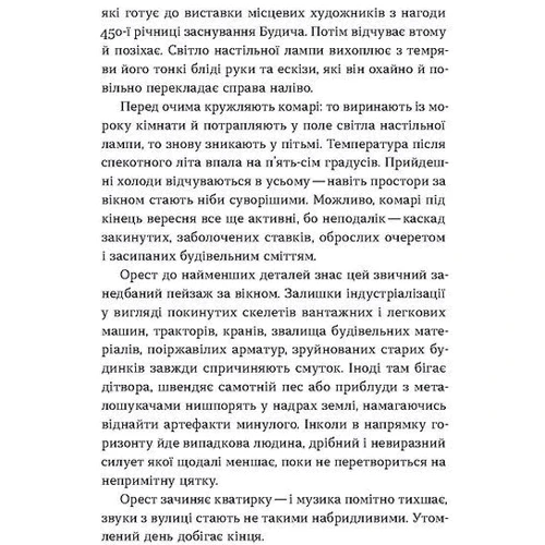 Анатолій Дністровий: Сіра пейна. Книга 1: Кількість сторінок 208