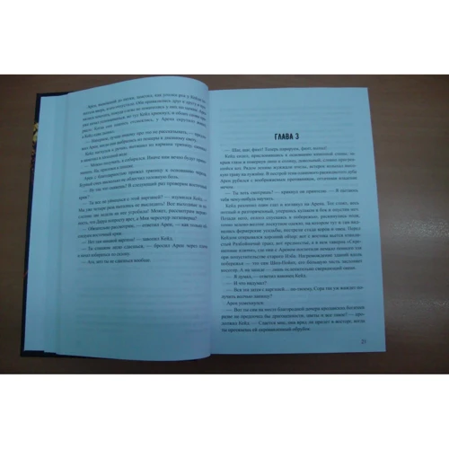 Крис Вудинг: Пламенный Клинок: Количество страниц 736