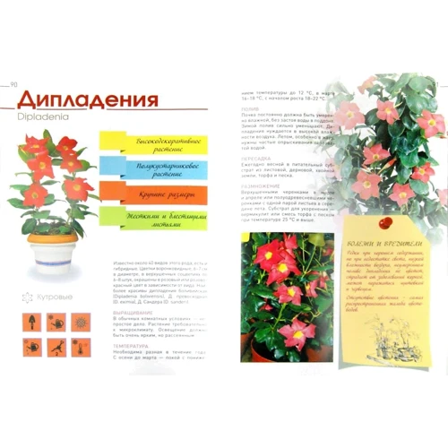 Галина Попова: Хиты вашего дома. Лучшие цветущие комнатные растения: Производитель АСТ
