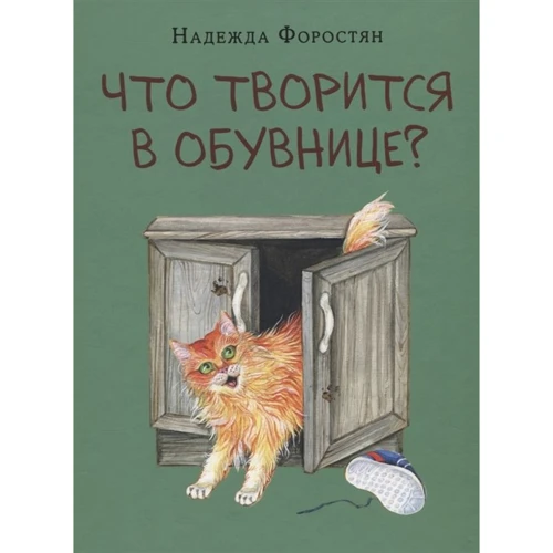 Надія Форостян: Що твориться в Обувниці?
