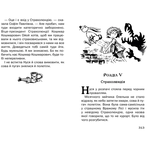 Країна Сонячних Зайчиків: Количество страниц 352