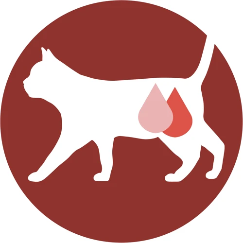 Влажный корм Purina ONE Sterilcat для стерилизованных кошекс индейкой и зеленой фасолью 24х85 г (12455698): Порода Все породы