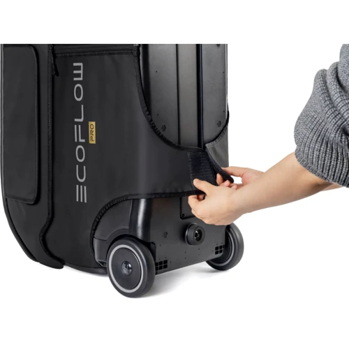 Сумка EcoFlow DELTA Pro Bag (BDELTAPro) фото 2