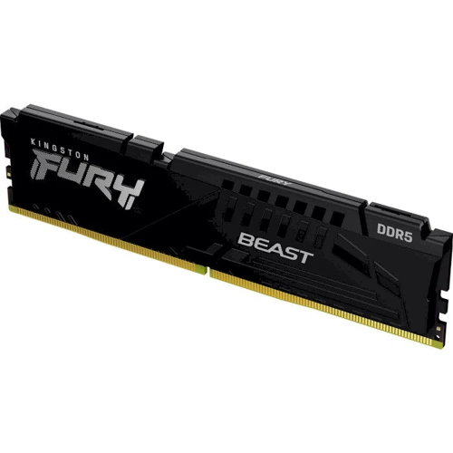 Kingston FURY 32 GB DDR5 4800 MHz Beast (KF548C38BB-32): Тип DDR5