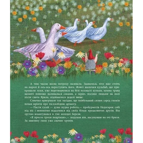 Барбара Супель: Шептаночка про гномів: Кількість сторінок 48