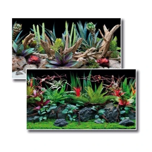 Фон двосторонній Amtra Flora 60 смх15 м рулон (A8011341)