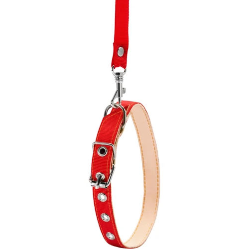 Ошейник с поводком Collar капроновый 14 мм 25-33 см красный (05483): Производитель Collar