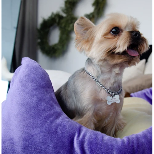 Лежак Luсky Pet Рольф №3 для собак фиолетово-кремовый 60х80х24 см (218441): Размеры 60х80х24 см