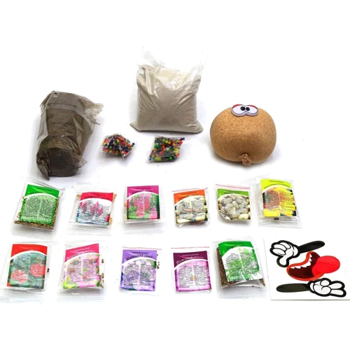 Набор для выращивания растений Danko Toys Home Florarium (HFL-01)