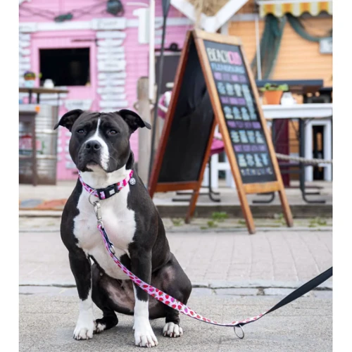 Ошейник Max & Molly Smart ID Collar - Strawberry Dream/L для собак (4894512051652): Назначение Для больших пород