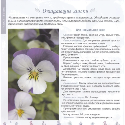 Ольга Метельська: Догляд за Шкірою: Кількість сторінок 96