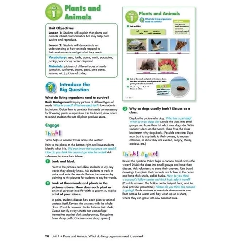 Big Science 5 Teacher's Book: ISBN 9781292144610