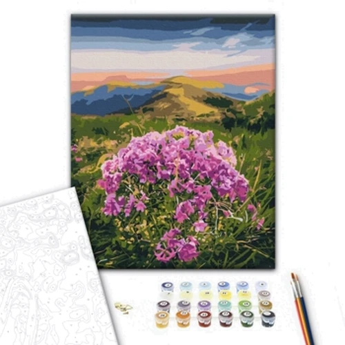 Картина по номерам Brushme Цветение Карпат © Roksolana Baran 40х50 см (BS53750): Производитель Brushme