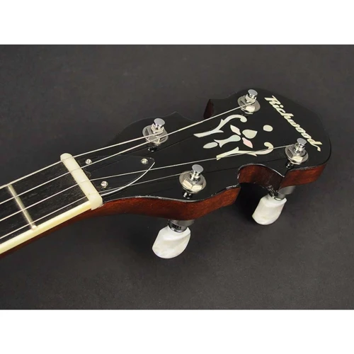 Банджо Richwood RMB-604-SS