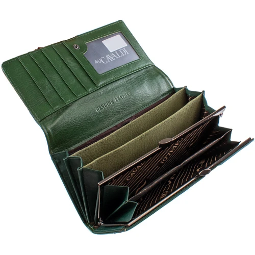 Женский кошелек 4U Cavaldi зеленый (DNKPN24-SFS-green): Тип Кошельки