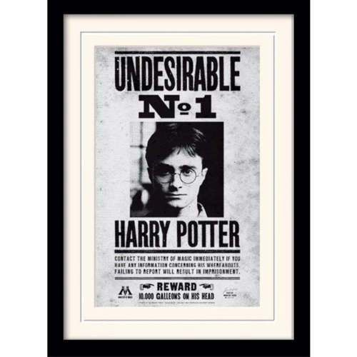 Постер в раме Pyramid International Harry Potter Undesirable No1 30x40 см (MP10616P-PL)