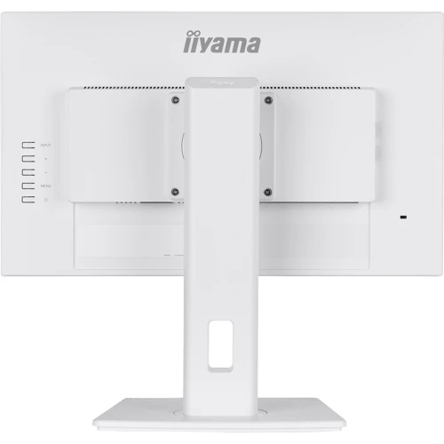 Монитор Iiyama ProLite XUB2292HSU-W6: Частота обновления экрана, Гц 100