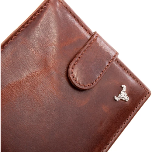 Чоловіче портмоне Buffalo Wild коричневе (DNKN992L-BW-brown): Тип Портмоне