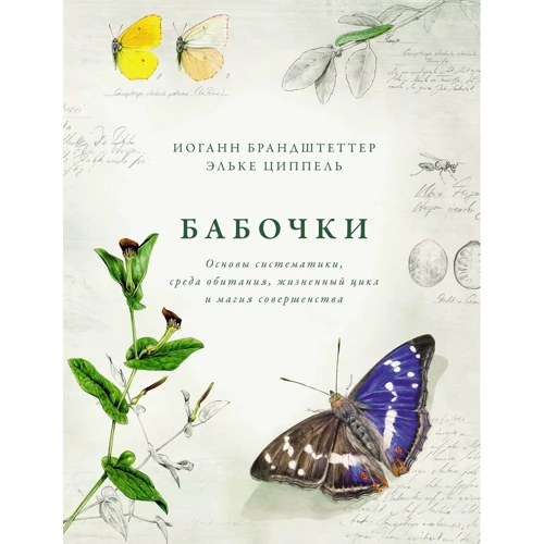 Йоганн Брандштеттер, Ельке Ціппель: Метелики. Основи систематики, середовище проживання, життєвий цикл і магія досконалості