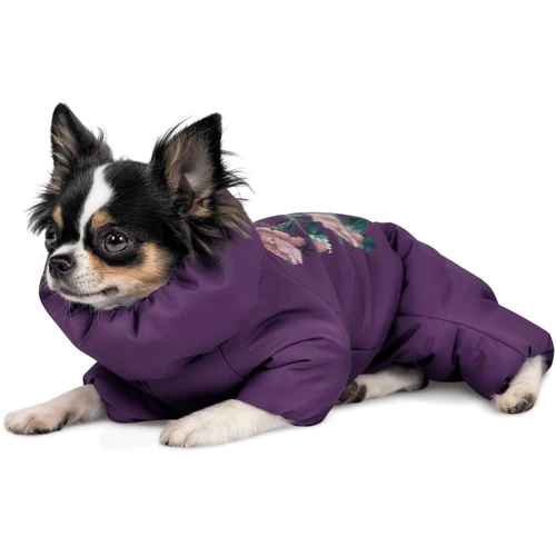 Комбінезон для собак Pet Fashion LOLA XS-2 (4823082432424): Розмір XS-2