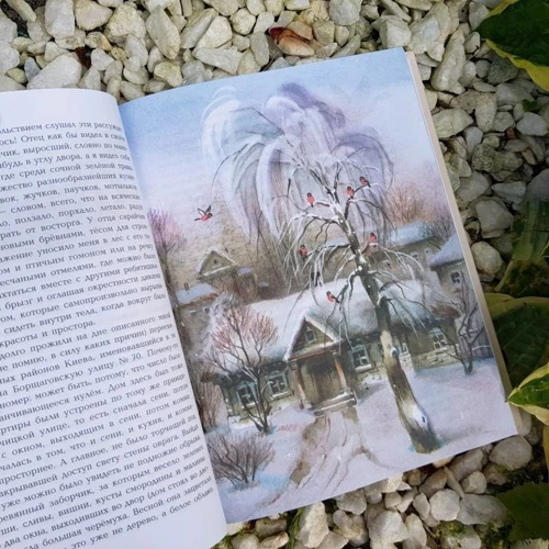 Николай Носов: Тайна на дне колодца: ISBN 978-5-04-093249-8