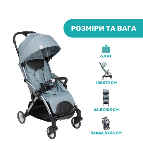 Коляска Chicco Goody Plus Stroller (79877.19.00): Пол ребенка Для мальчиков, Для девочек