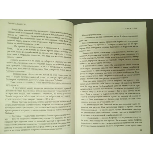 Полина Дашкова: Горлов тупик: Количество страниц 512