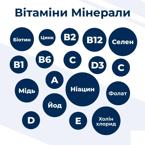 Сухий корм Dr.Clauder's Best Choice Adult Large для дорослих собак великих та гігантських порід 4 кг (34030400): Порода Крупные, Гигантские