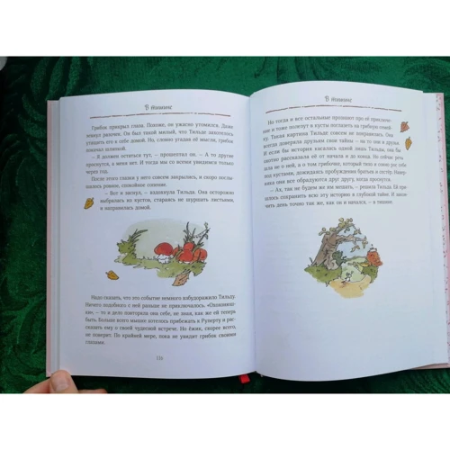 Андреас Шмахтл: Тильда Яблочное Семечко. Весна, лето, осень и зима: ISBN 978-5-00146-300-9