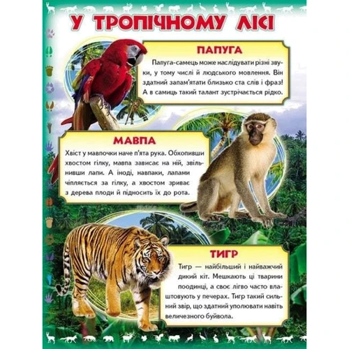 Моя перша книжка. Про диких тварин: Виробник Пегас