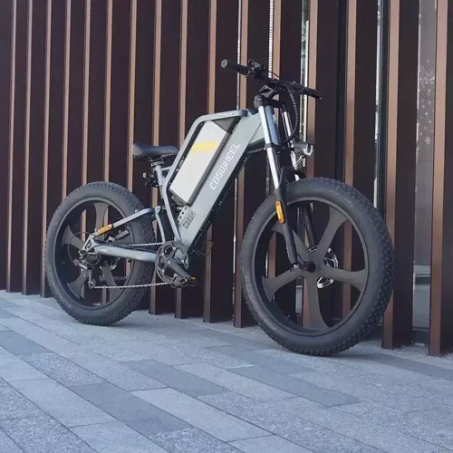 Електровелосипед Coswheel T26 (750 Вт, 48 В, 25 А/год), колеса 26", сірий: Діаметр коліс, дюймів 26
