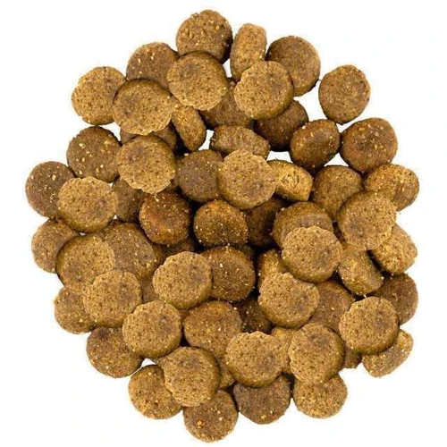 Сухой корм Savory Medium Breed Turkey rich in Fresh Meat with Lamb для собак средних пород с индейкой и ягненком 3 кг: Тип Сухой корм