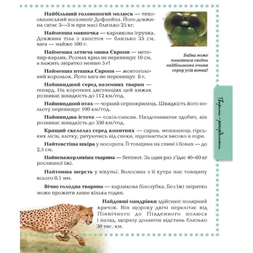 Животні. Енциклопедія для допитливих фото 6