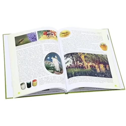 Домашні тварини. Моя перша книга: ISBN 978-5-7793-2247-8