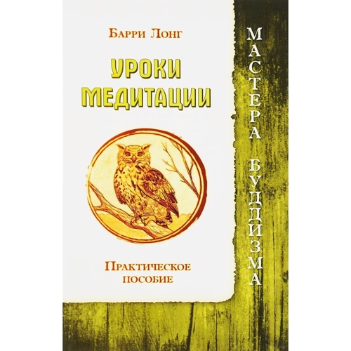 Барри Лонг: Уроки медитации. Практическое пособие