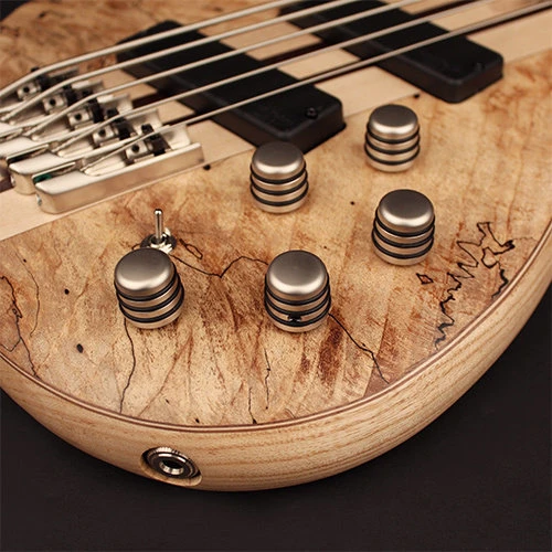 Бас-гитара CORT A5 Plus SCMS (Open Pore Trans Grey) w/Case