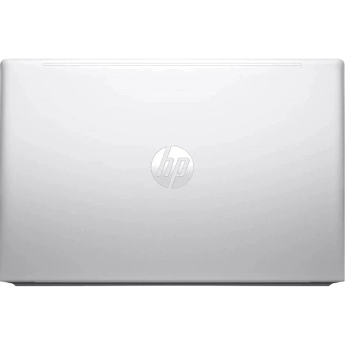 Ноутбук HP ProBook 450 G10 (822P3UT): Тип экрана матовый